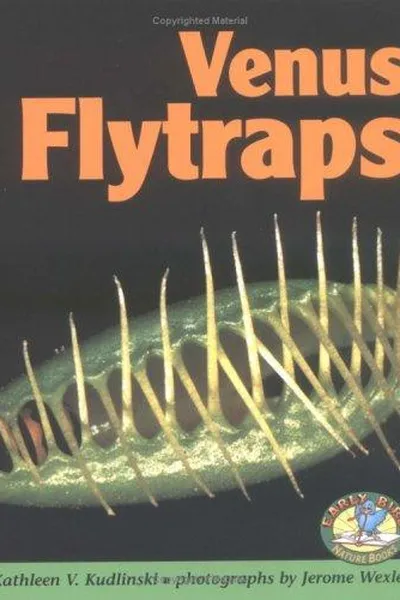 Capa de Venus flytraps
