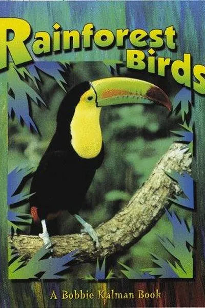 Capa de Rainforest birds