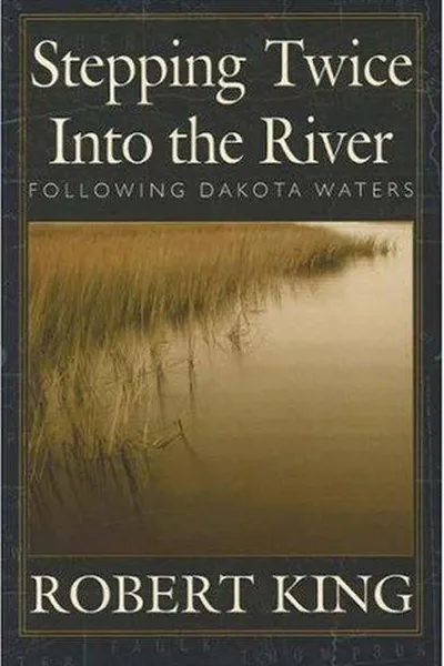 Capa de Stepping twice into the river