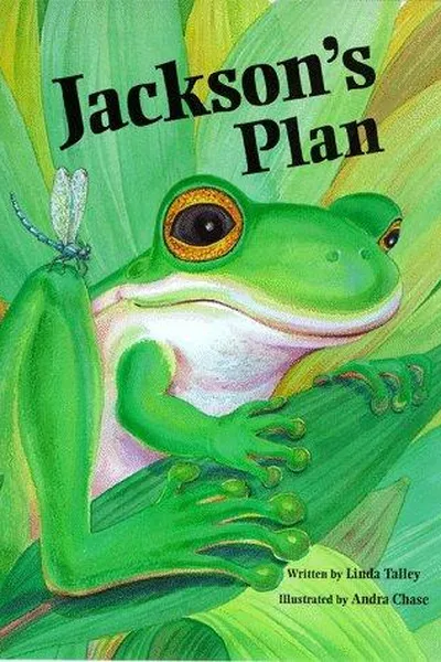 Cover of Jackson's plan