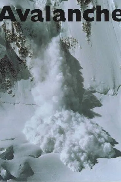 Capa de Avalanches
