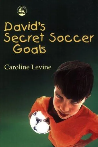 Capa de David's secret soccer goals