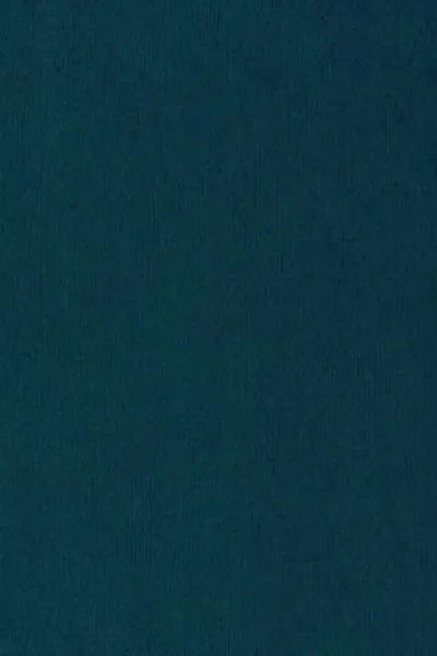 Capa de Bounded rationality and economic evolution