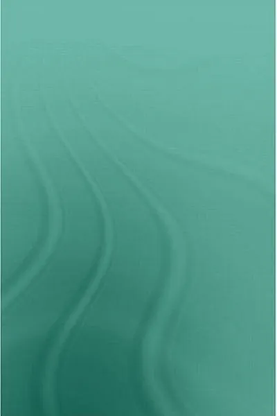 Capa de Decision-making and Japan