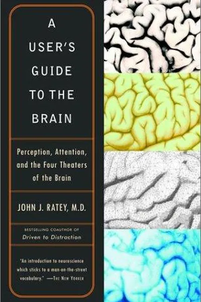Capa de A user's guide to the brain