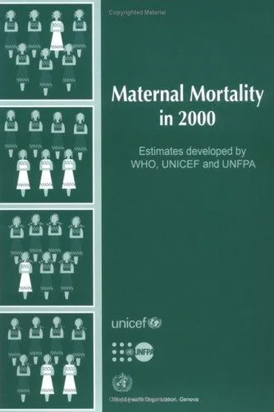 Capa de Maternal mortality in 2000