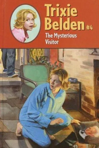 Capa de The Mysterious Visitor