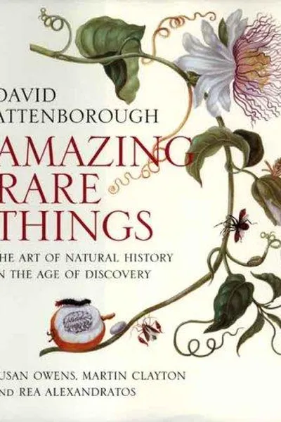 Capa de Amazing rare things