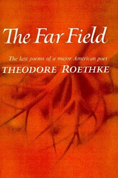 Cover of The far field