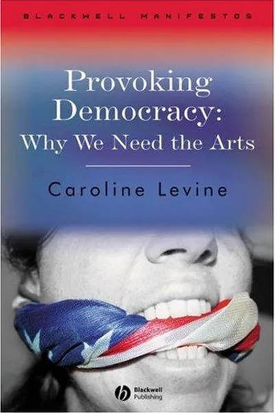 Capa de Provoking Democracy