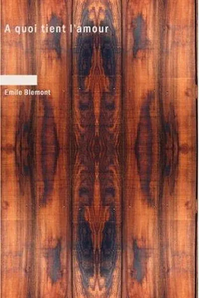 Capa de A quoi tient l'amour