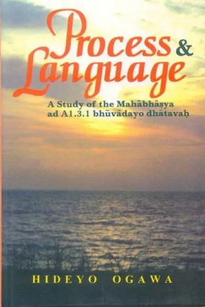 Capa de Process and Language