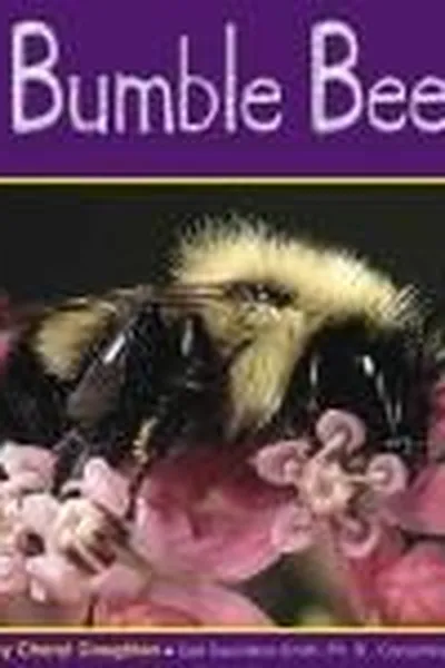 Cover of Bumble bees