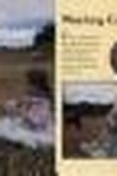 Capa de Frontier fort