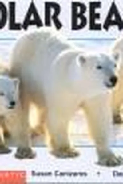 Capa de Polar bears =