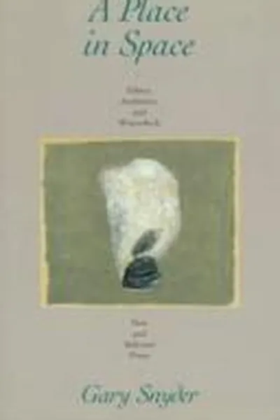 Capa de A place in space