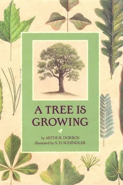 Capa de A tree is growing