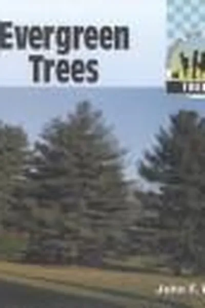 Cover of Evergreen trees