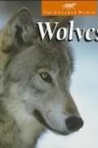 Capa de Whooping cranes