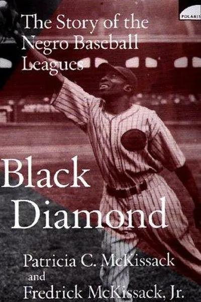 Capa de Black Diamond