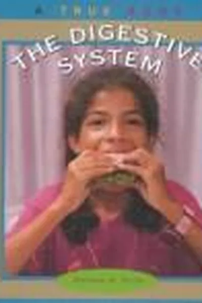 Capa de Digestive System