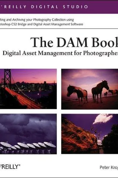 Capa de The DAM Book