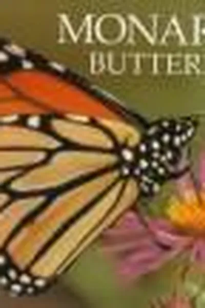 Capa de Monarch butterflies