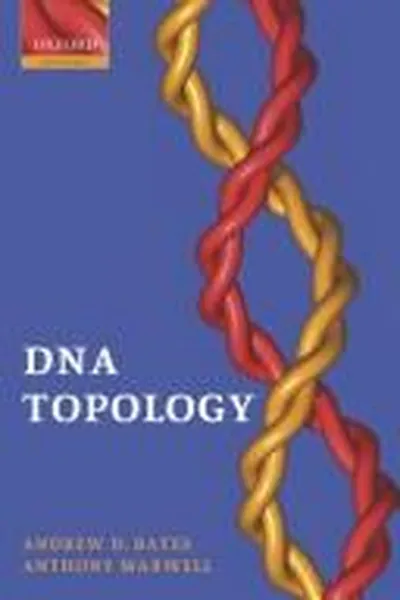 Capa de DNA topology