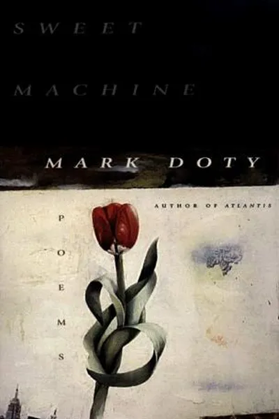 Capa de Sweet machine