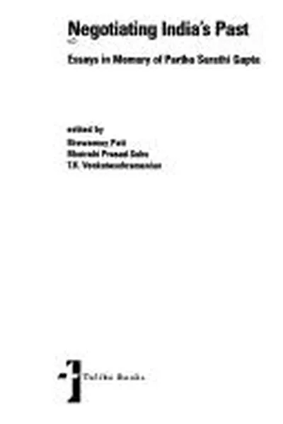 Capa de Negotiating India's past