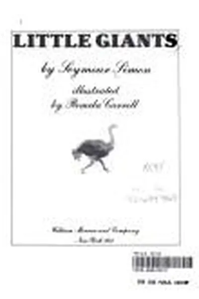 Capa de Little giants