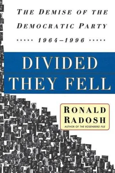 Capa de Divided They Fell