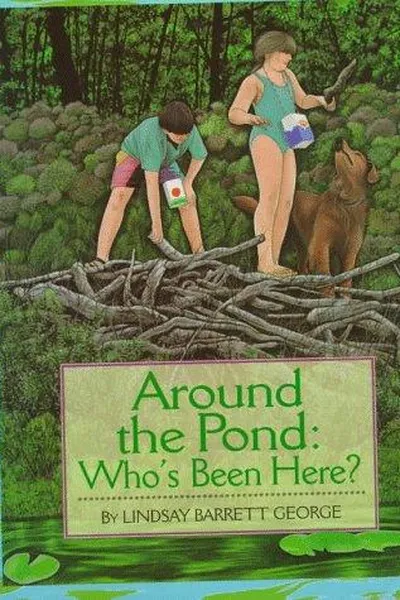 Capa de Around the pond