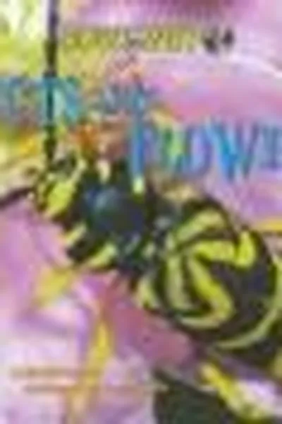 Capa de Insects visit flowers