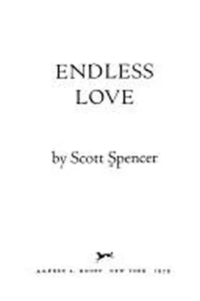 Capa de Endless Love