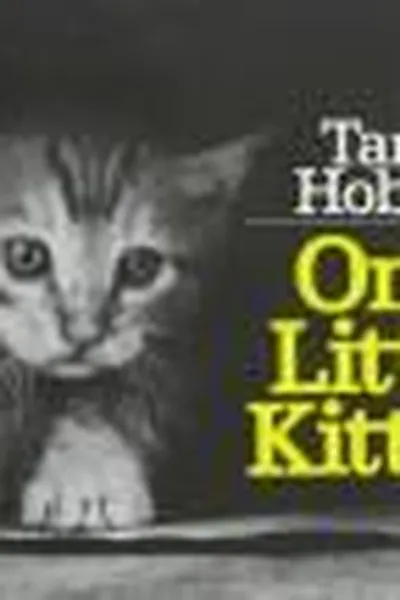 Capa de One little kitten