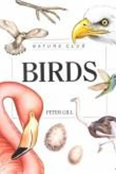 Capa de Trees and leaves