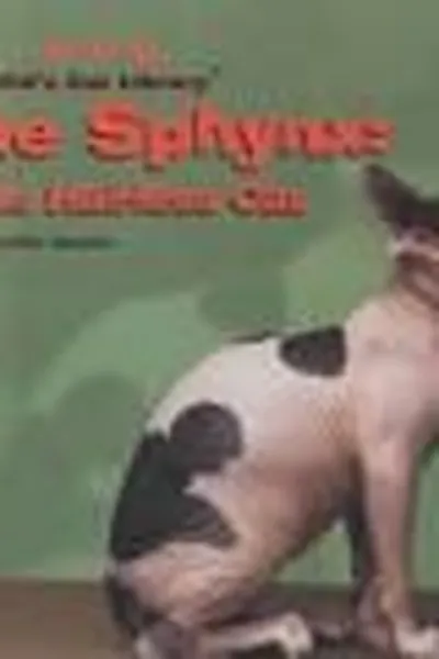 Capa de The Sphynx