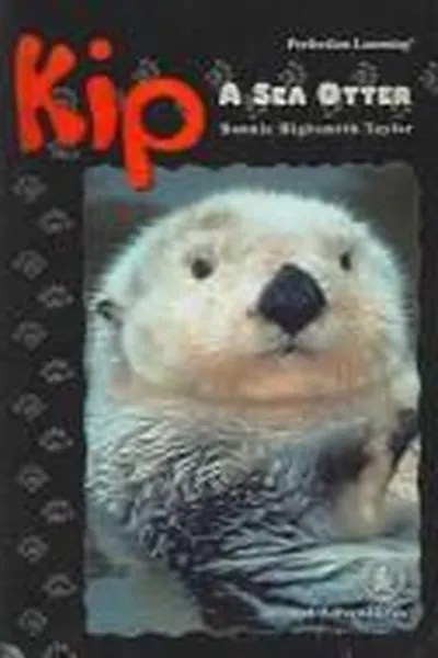 Capa de Kip