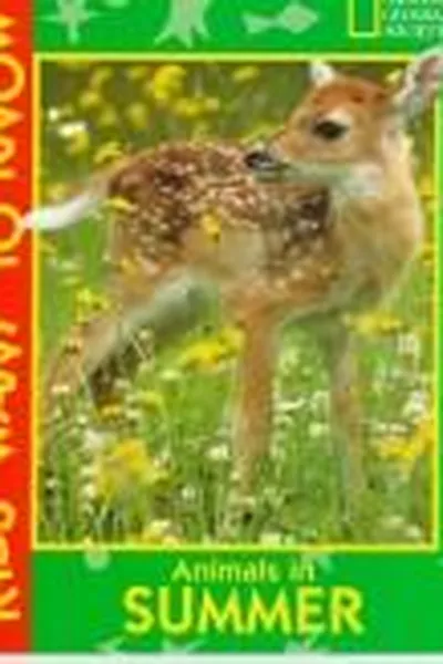 Capa de Animals in summer