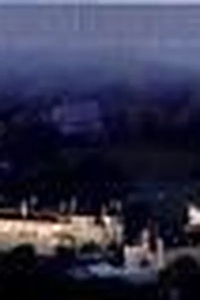 Capa de Their gilded cage