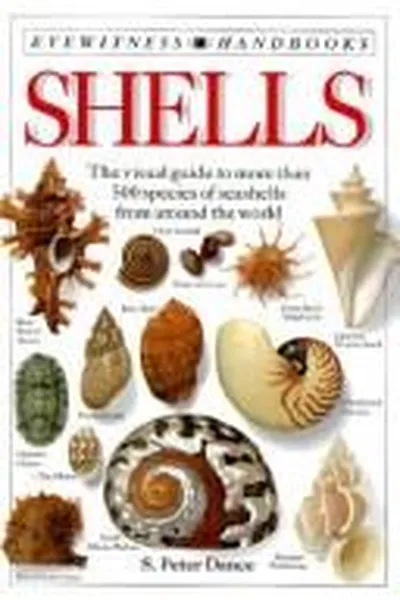 Cover of Shells (DK Handbooks)