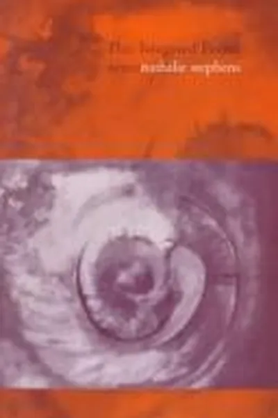 Capa de This Imagined Permanence