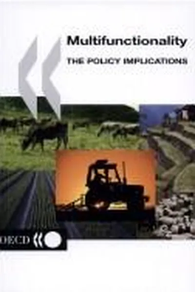 Capa de Multifunctionality