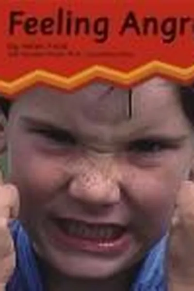 Capa de Feeling Angry
