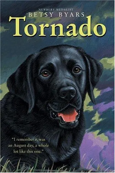 Capa de Tornado (Trophy Chapter Book)