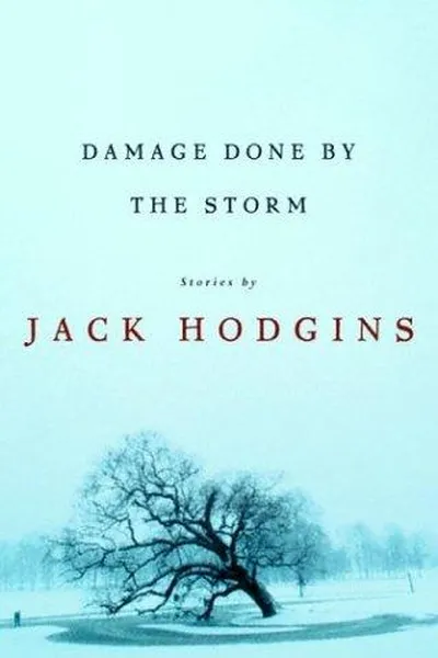 Capa de Damage done by the storm