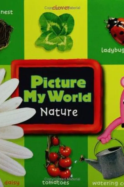 Capa de Picture My World