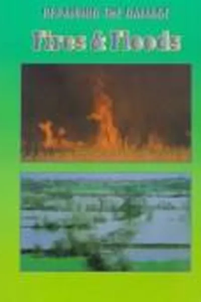 Capa de Fires and floods