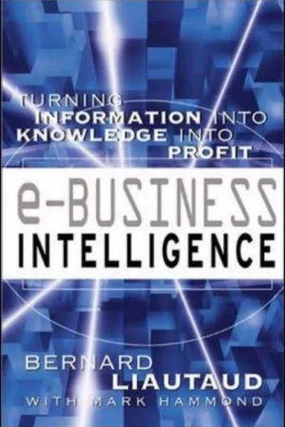 Capa de e-Business Intelligence